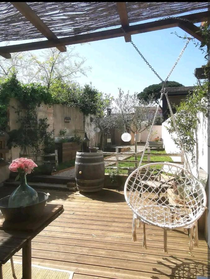 La Maison De Marie - Jardin Arbore - Garage Privatif - Netflix Carcassonne Exteriér fotografie