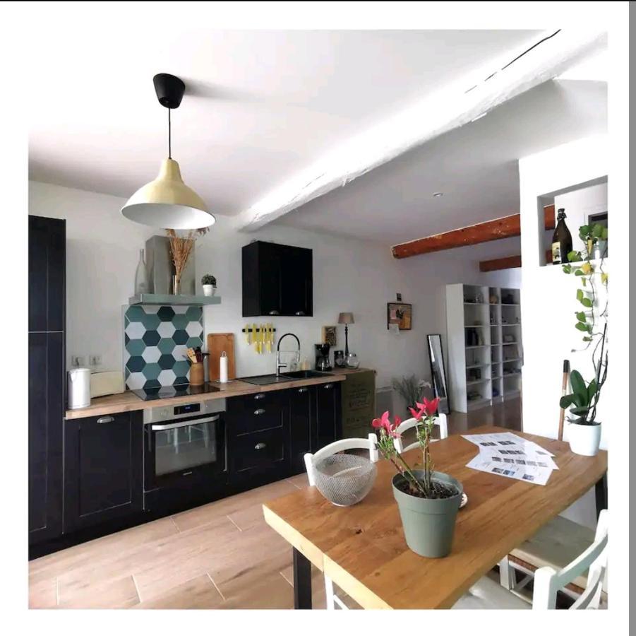 La Maison De Marie - Jardin Arbore - Garage Privatif - Netflix Carcassonne Exteriér fotografie